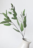 Artificial Leaf