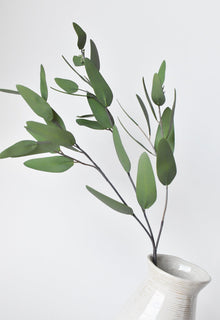 Artificial Leaf