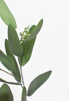 Artificial Leaf