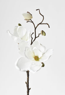 19" Artificial Magnolia Stem White