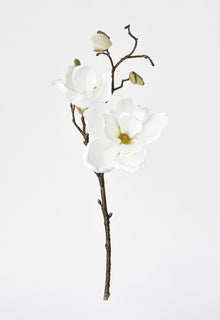 19" Artificial Magnolia Stem White