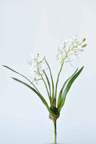 Mini Orchid