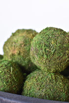 Natural 3 inch moss balls accent for bowls and trays