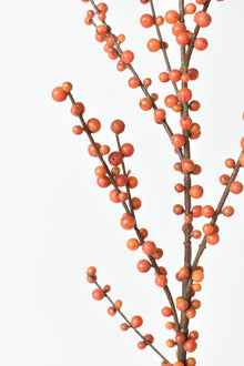 Orange Berry
