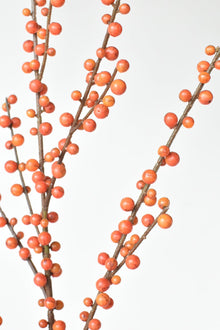 Orange Berry