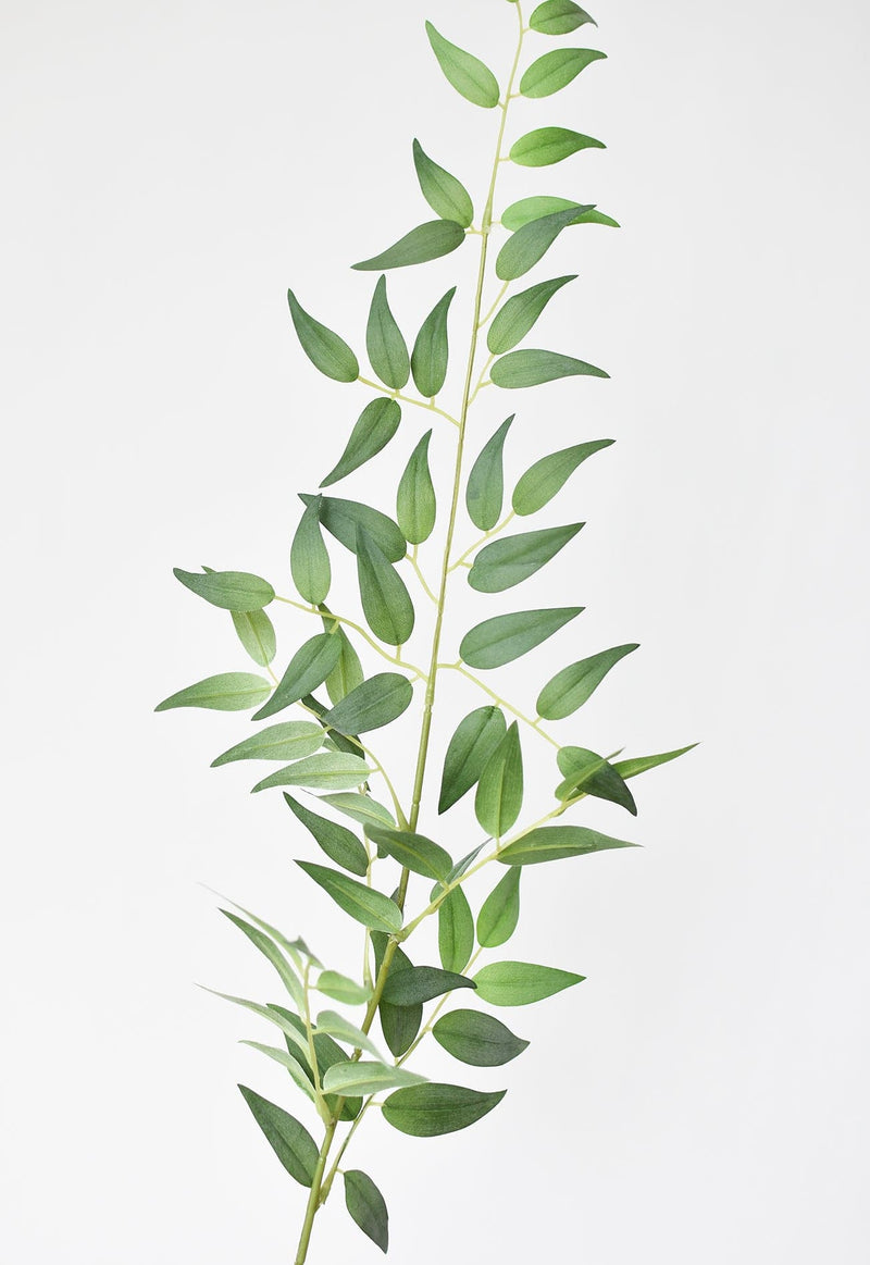 Artificial Italian ruscus greenery for bouquets and vases