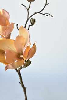 19" Artificial Magnolia Stem Light Orange/Pink