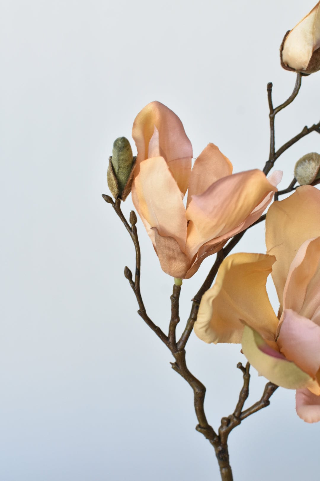 19" Artificial Magnolia Stem Light Orange/Pink