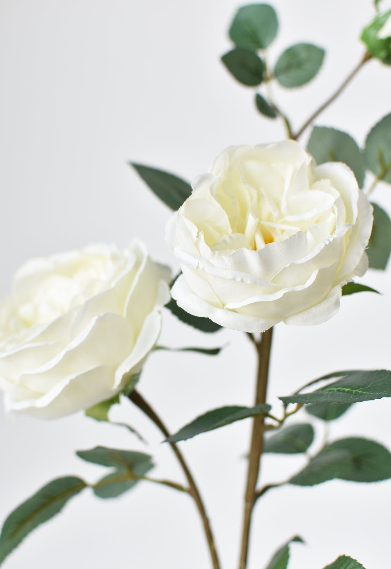 Artificial silk cabbage rose stem for bouquets and arrangements