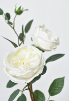 29" Artificial Cabbage Rose Stem White