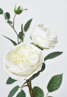 29" Artificial Cabbage Rose Stem White