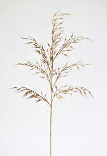 34" Artificial Beige Wild Wheat Stem