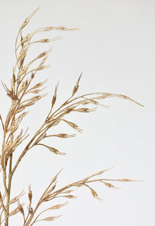 Artificial wheat stem rustic accent for vases and arrangements