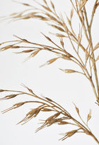 34" Artificial Beige Wild Wheat Stem