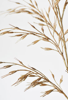 34" Artificial Beige Wild Wheat Stem