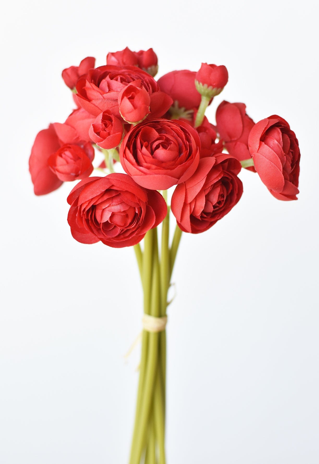 Red Ranunculus Stem Bundle