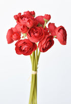 Red Ranunculus Stem Bundle