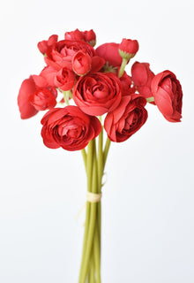 Red Ranunculus Stem Bundle