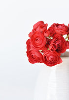 Red Ranunculus Stem Bundle