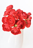 Red Ranunculus Stem Bundle