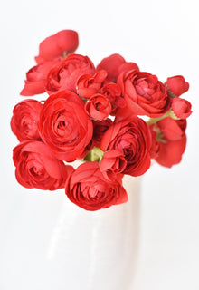 Red Ranunculus Stem Bundle