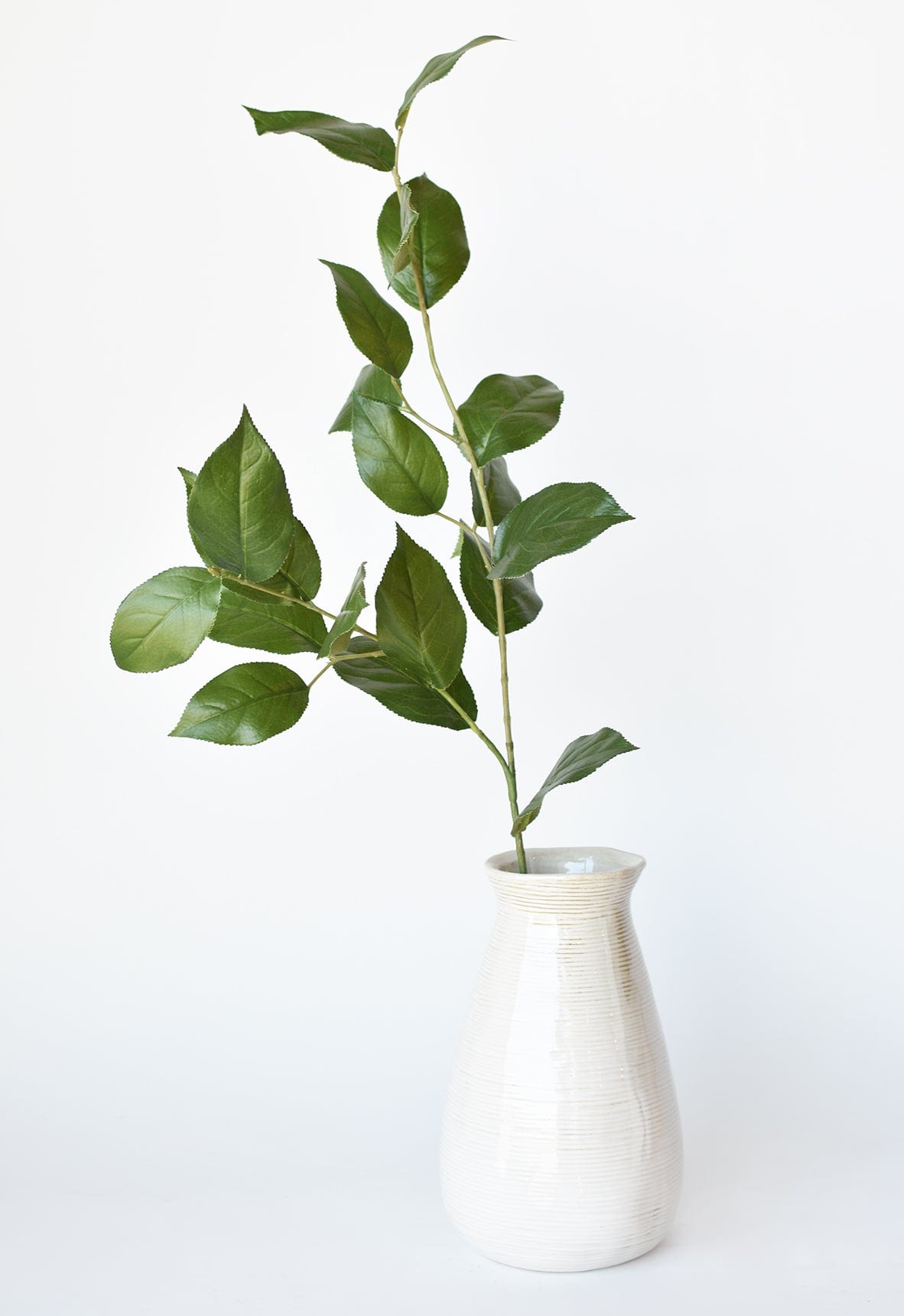 Lemon Leaves