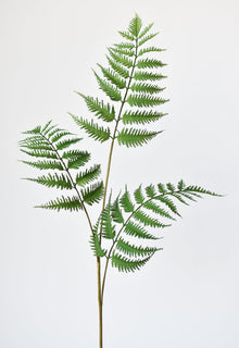 Forest Fern Spray