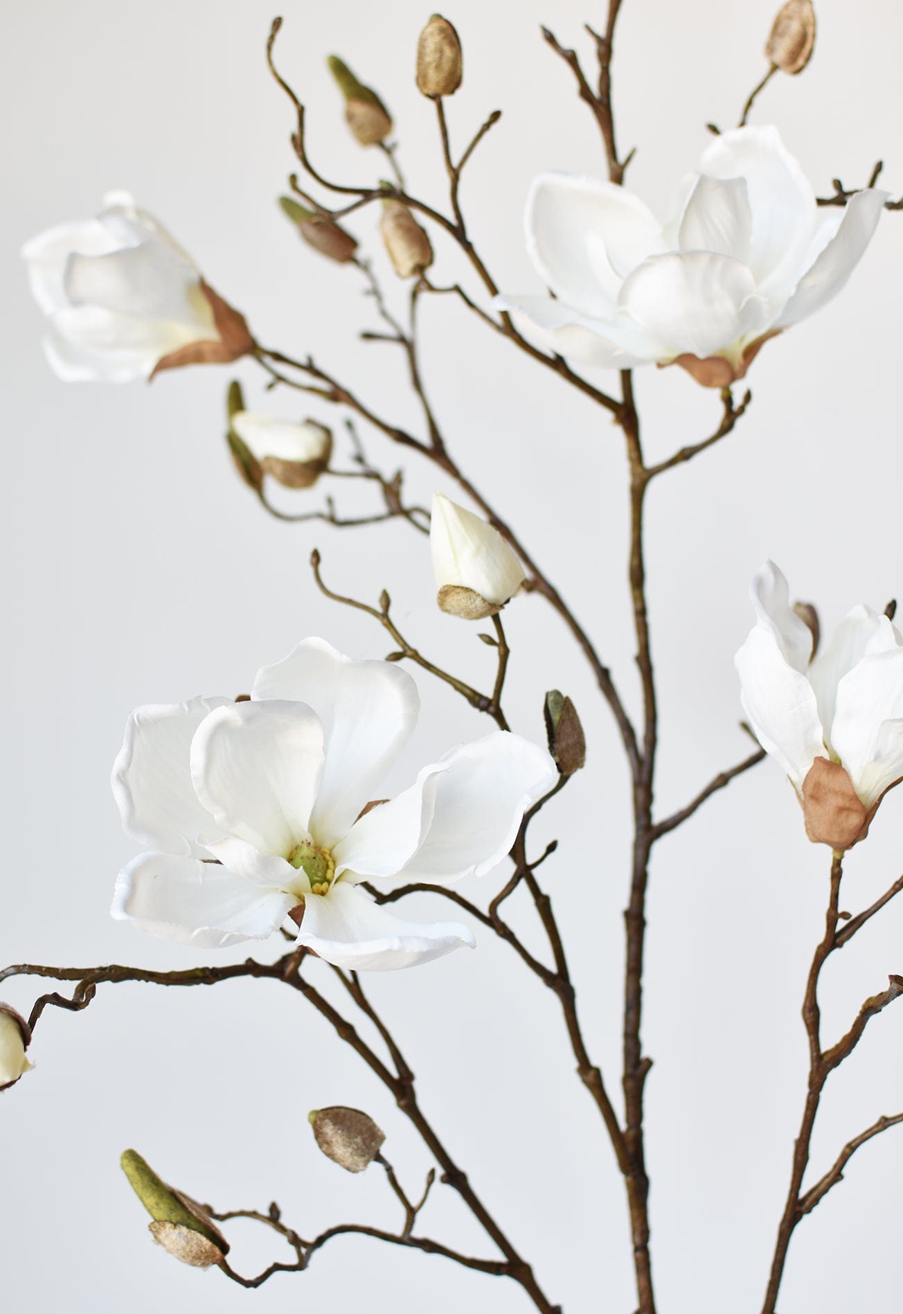 Artificial magnolia branch with wired stems for arrangements