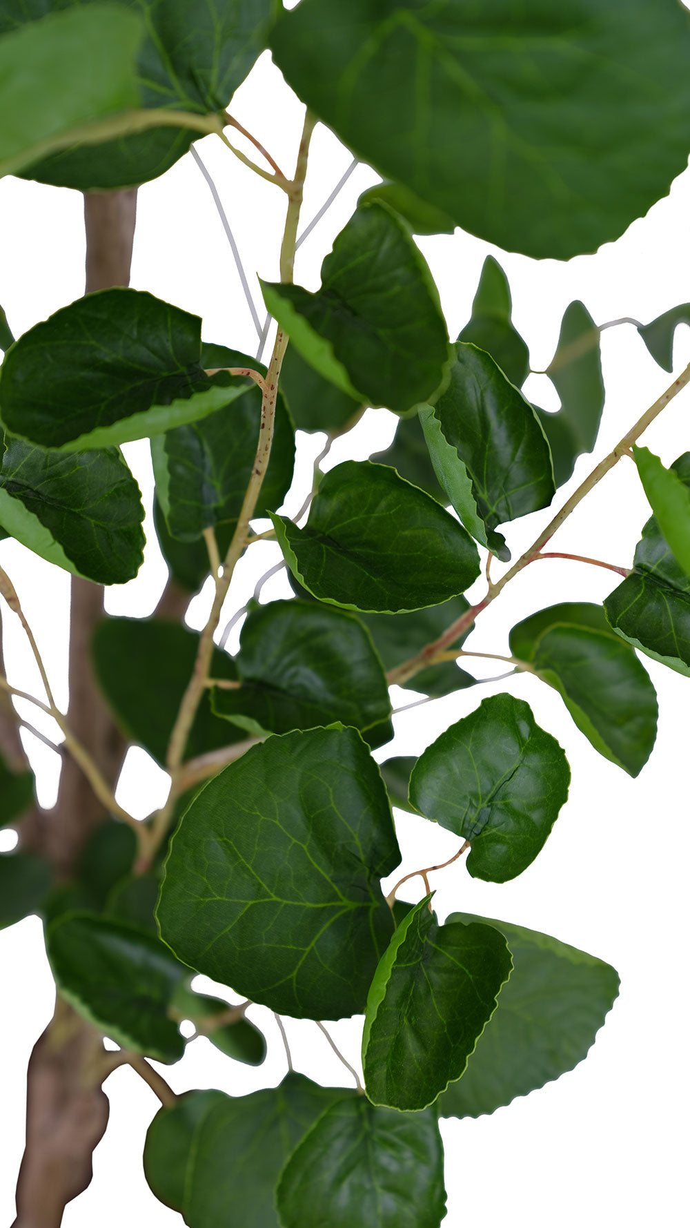 potted indoor eucalyptus plant Faux Potted Eucalyptus Tree, 4 ft