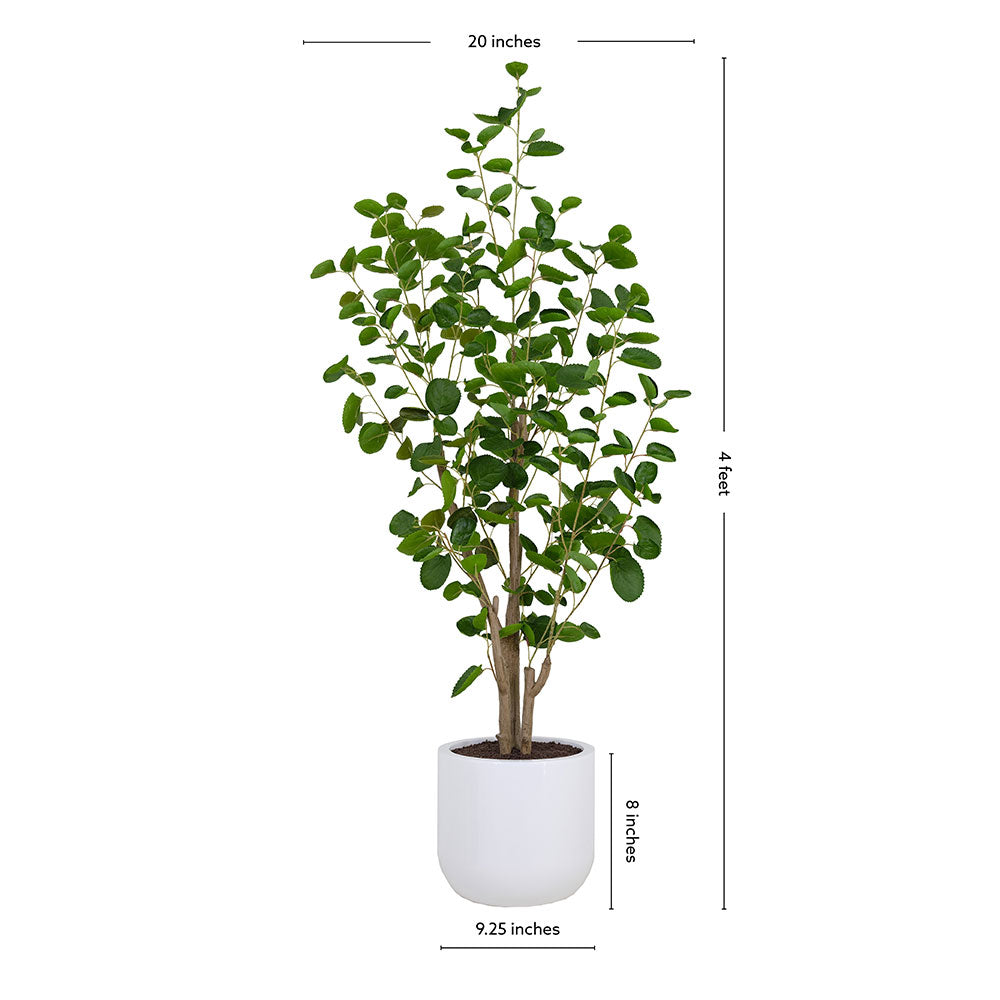 eucalyptus plant potted Faux Potted Eucalyptus Tree, 4 ft