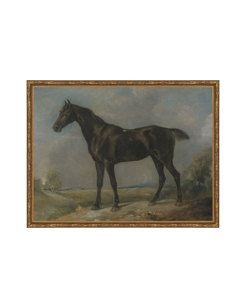 Study of a Horse II