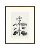 Flowing Leaves