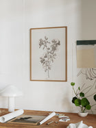 Floral Drawing