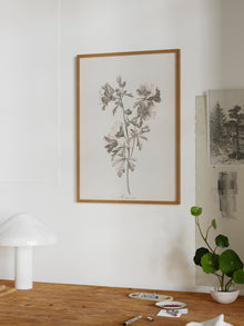 Floral Drawing