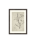Floral Drawing V