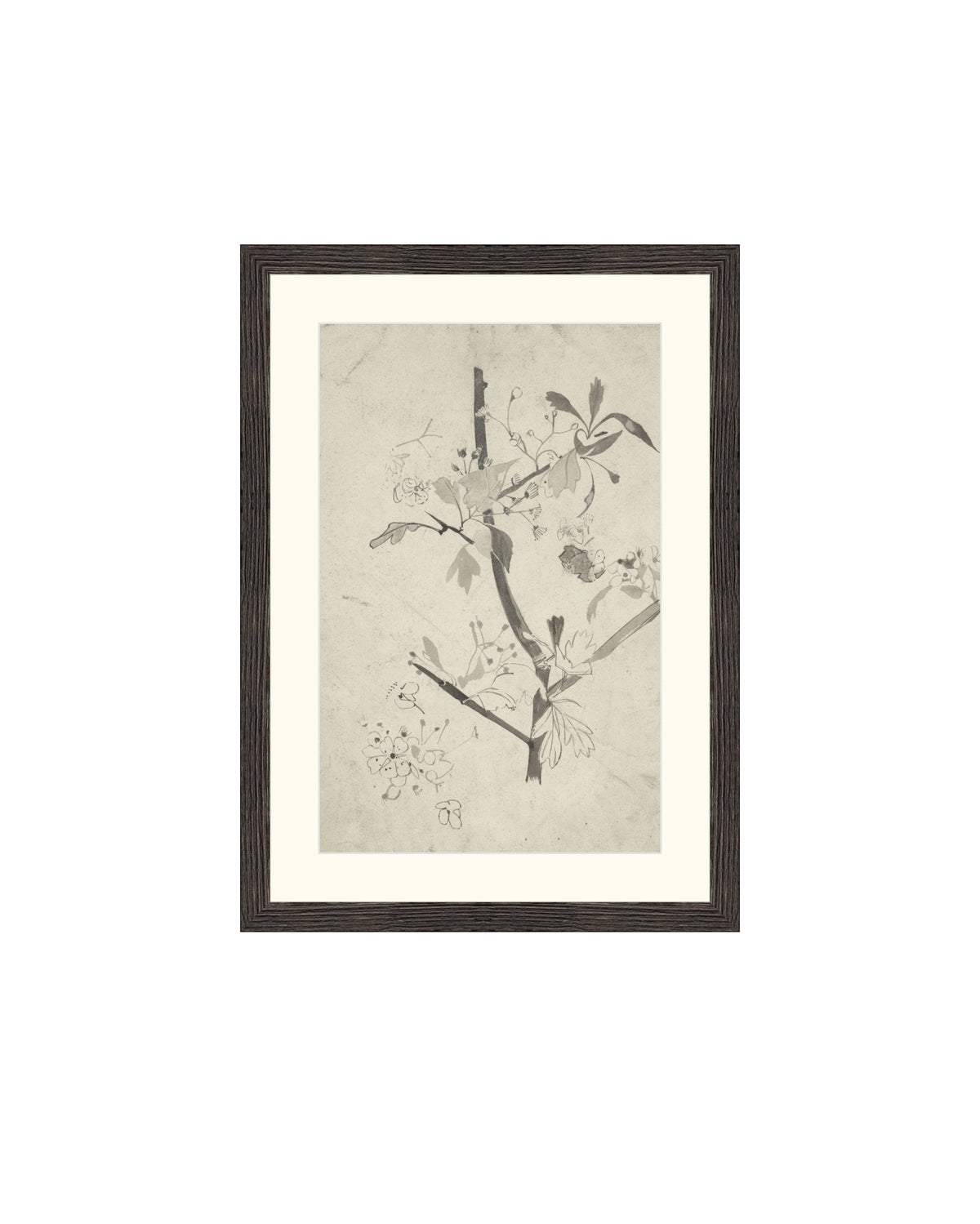 Floral Drawing V