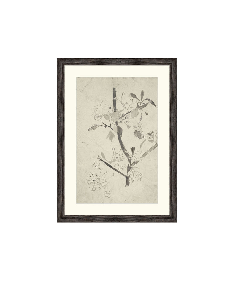 Floral Drawing V