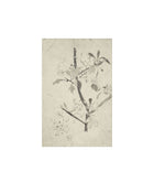 Floral Drawing V