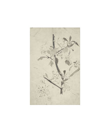 Floral Drawing V