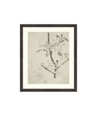 Floral Drawing V