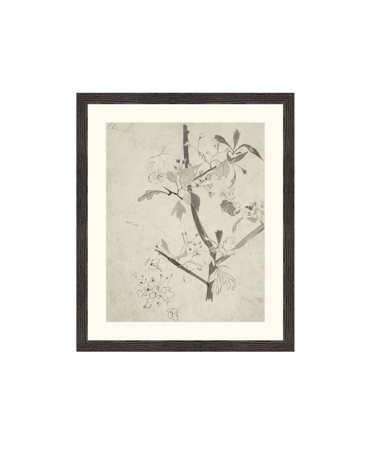 Floral Drawing V