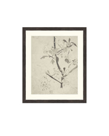 Floral Drawing V