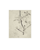 Floral Drawing V