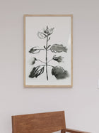 Flowing Leaves