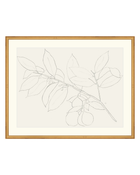 Lemon Branch Drawing