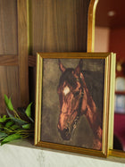 Noble Spirit