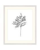 Hemlock Stem