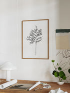 Hemlock Stem