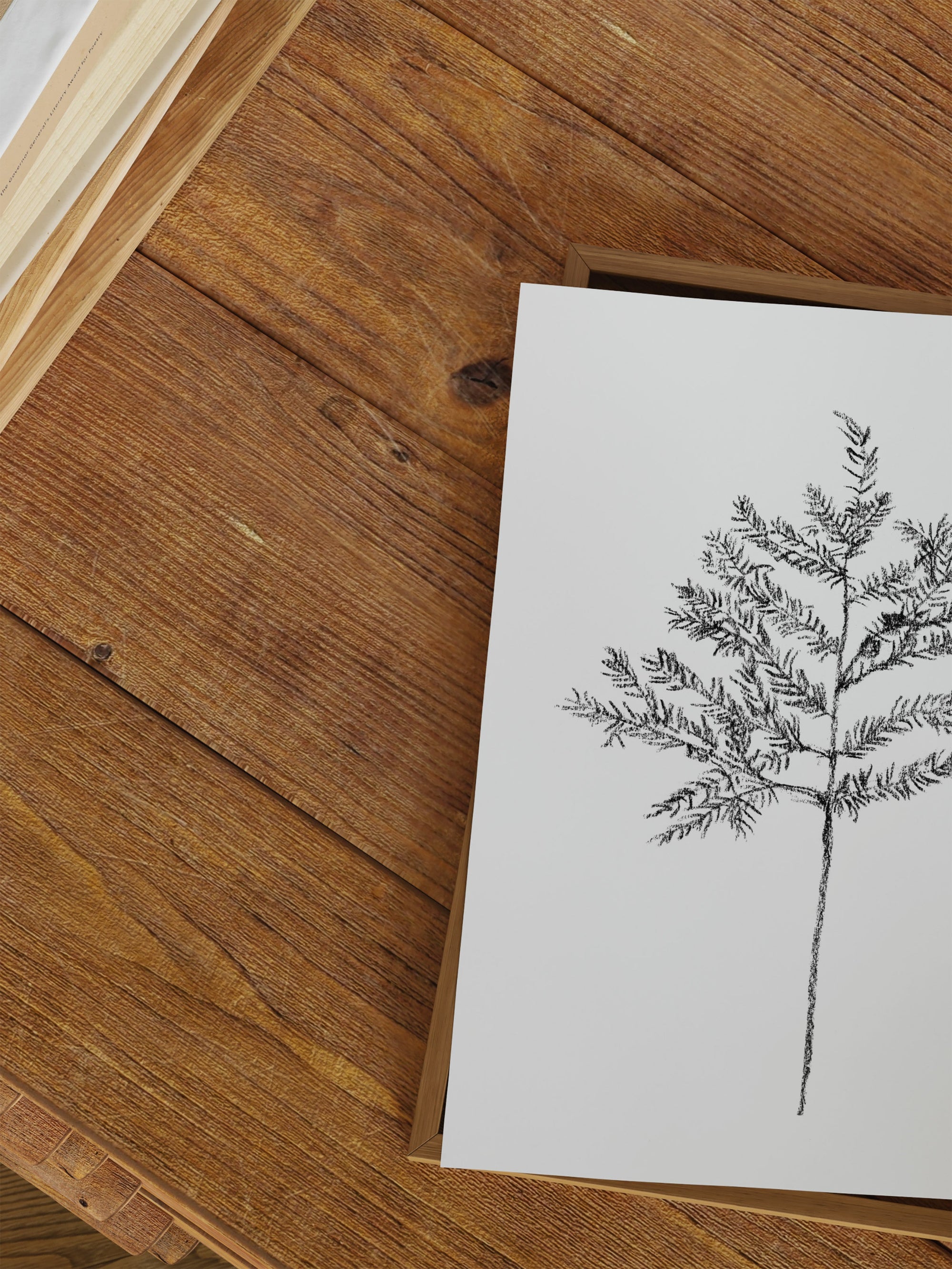 Hemlock Stem