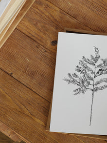 Hemlock Stem